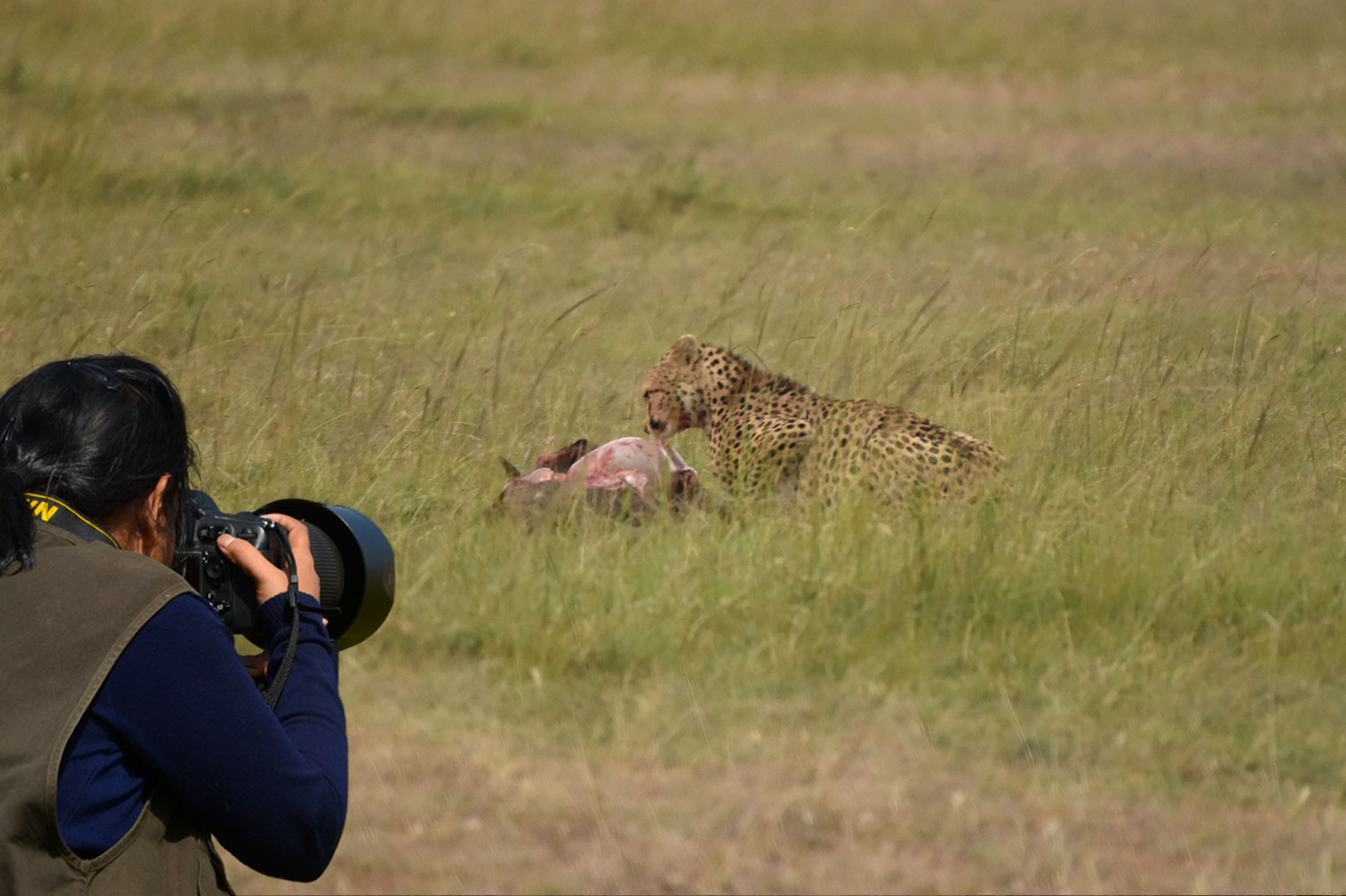 The wild land Masai Mara brings out the wildlife photographer within you