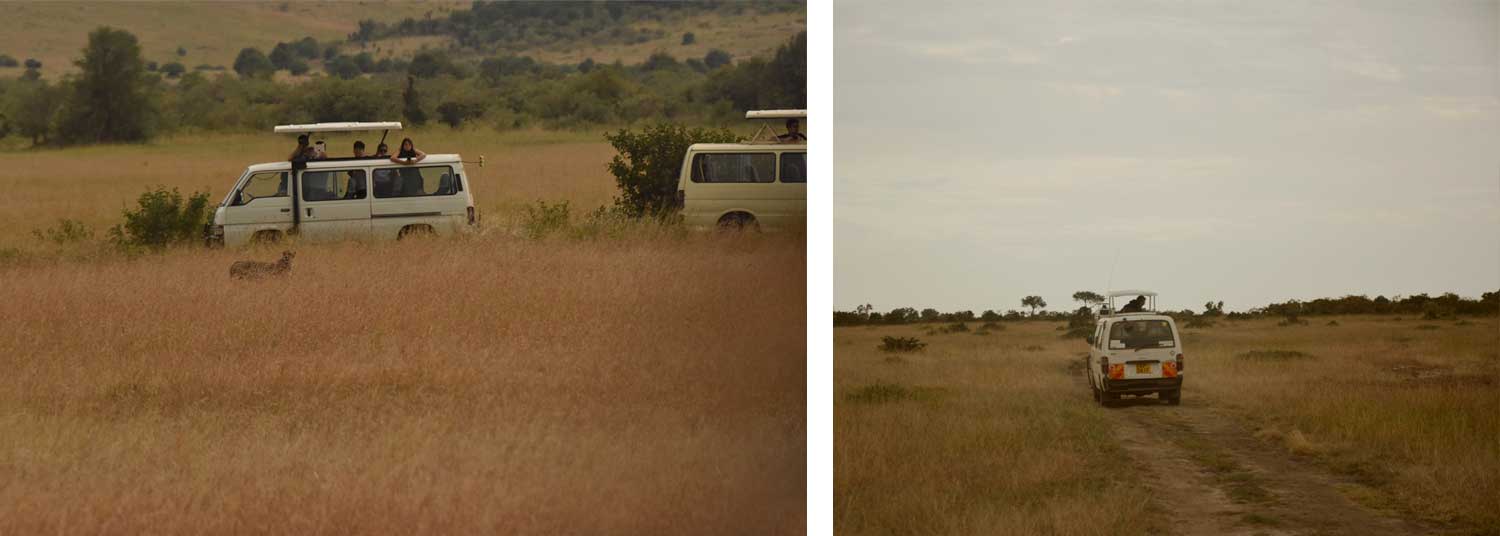 Jungle safari Maasai Mara