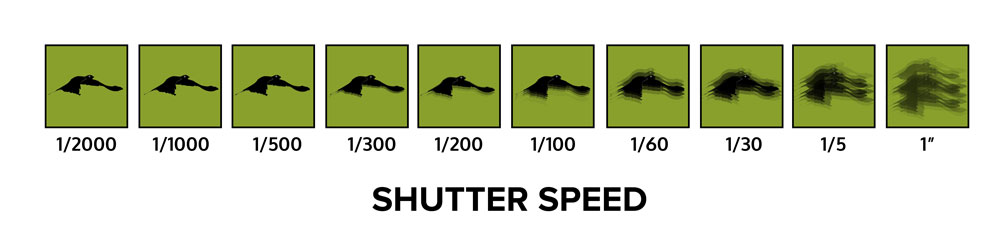 Photography basic - Shutter Speed
