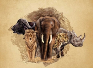 The Big 5 of Kenya: Who are they? | Masai Mara Safaris