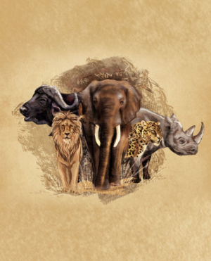 Illustration