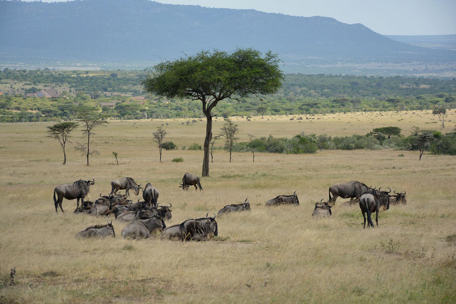Top 10 places to explore the magical Kenya