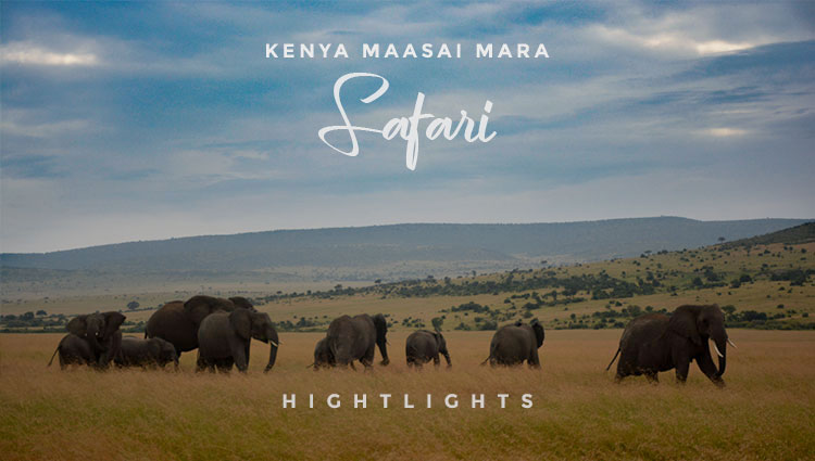 Kenya- Maasai Mara Highlights
