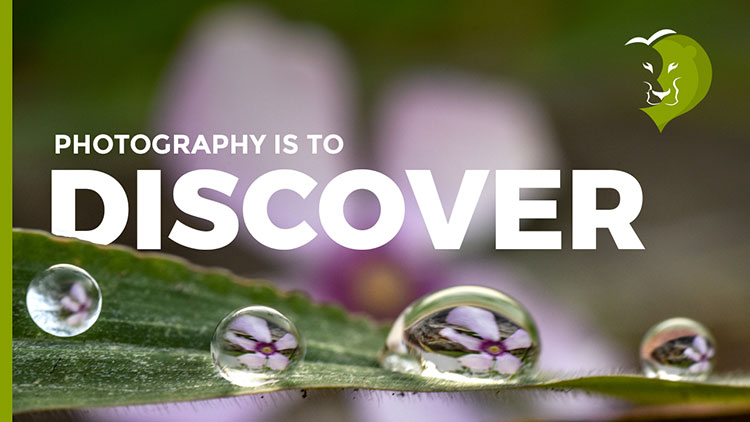 Discover Photography | Bring your Photography skills to the next level