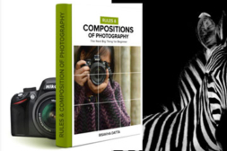 Compositions of your photography