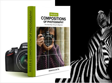 Compositions of your photography
