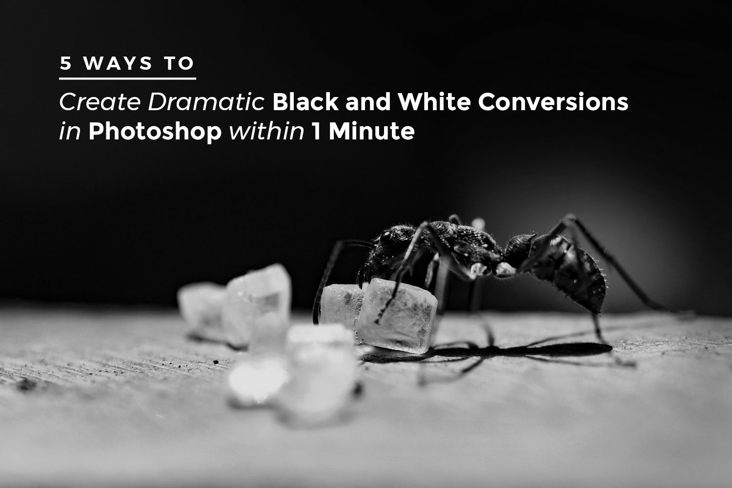 5 Ways to Create Dramatic Black and White Conversions in Photoshop in 1 Minute