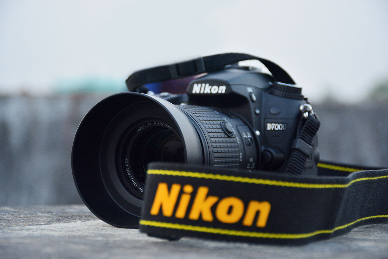 Which DSLR Camera Is Best For A Beginner In Photography