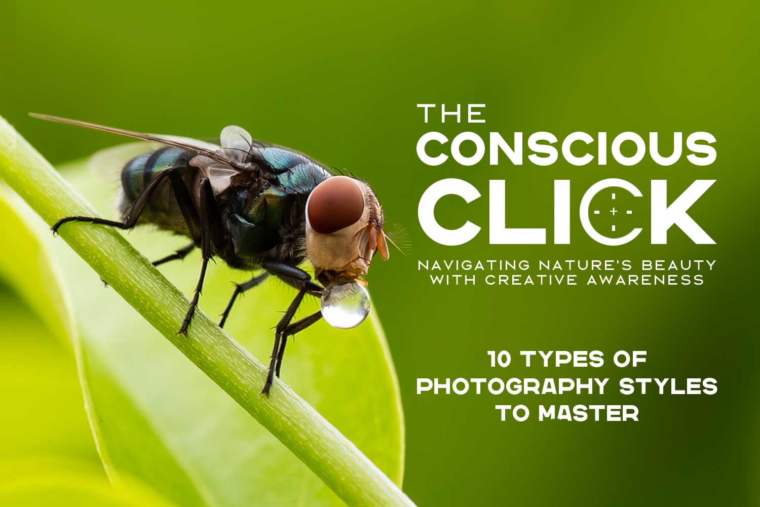 The Conscious Click: Navigating Nature’s Beauty with Creative Awareness – 10 Types of Photography Styles to Master